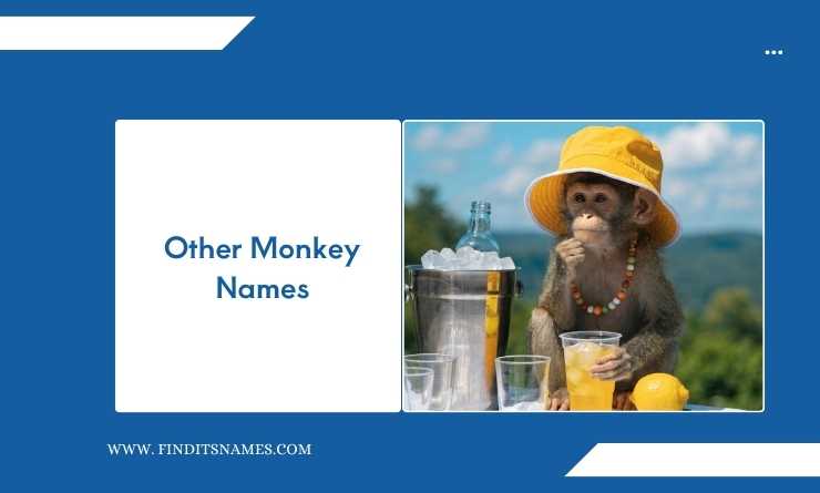 Other Monkey Names