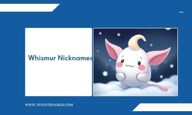 Whismur Nicknames