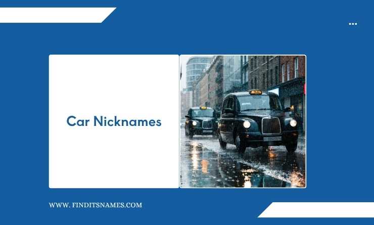 Car Nicknames