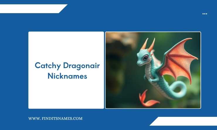 Catchy Dragonair Nicknames