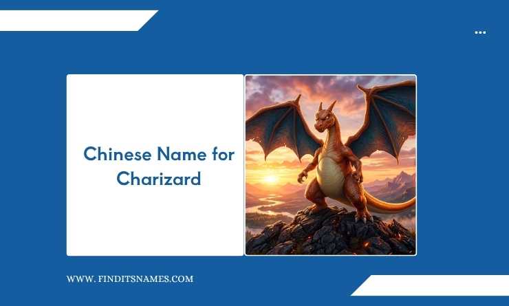 Chinese Name for Charizard