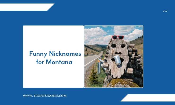  Funny Nicknames for Montana