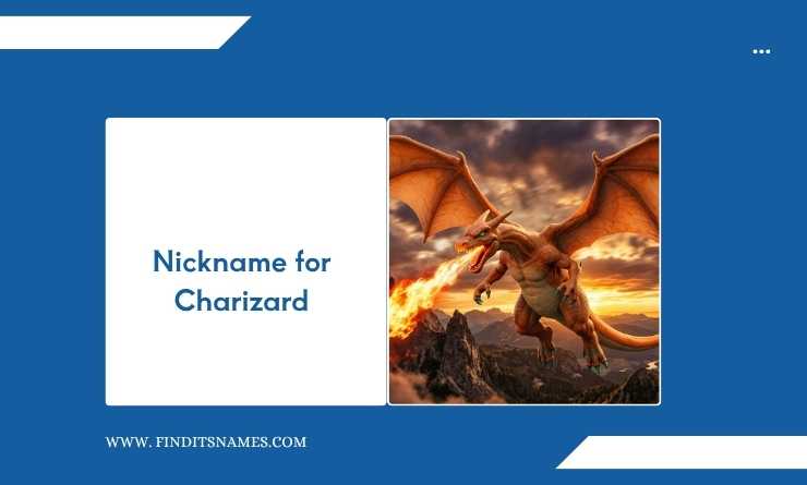 Nickname for Charizard