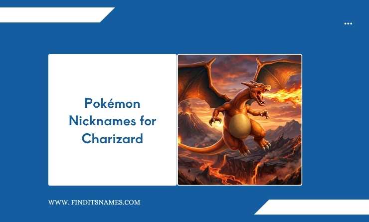 Pokémon Nicknames for Charizard