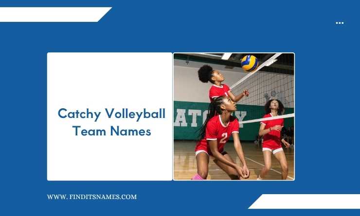 Catchy Volleyball Team Names