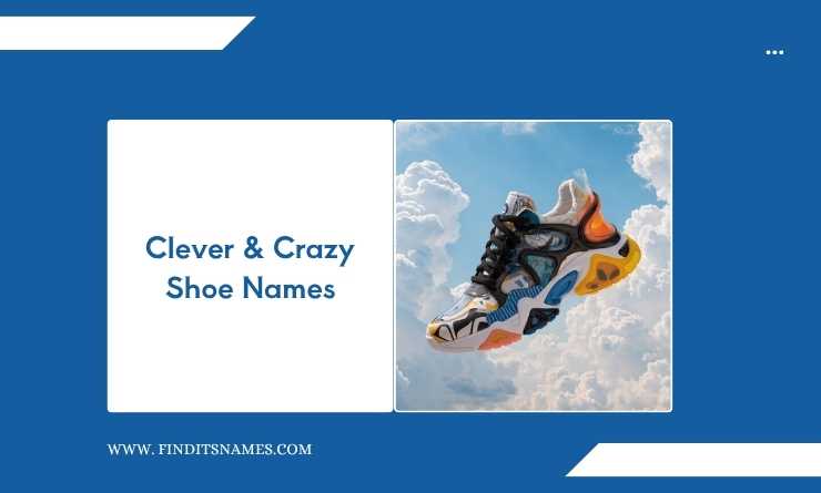 Clever & Crazy Shoe Names