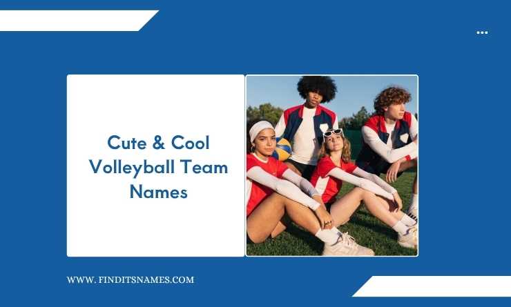 Cute & Cool Volleyball Team Names
