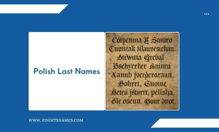 Polish Last Names