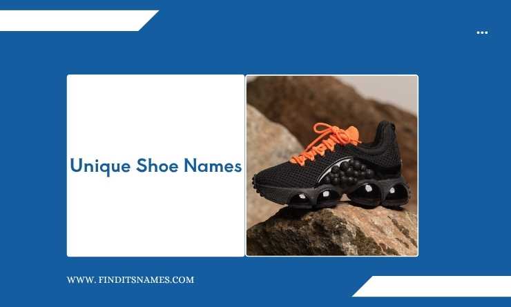 Unique Shoe Names