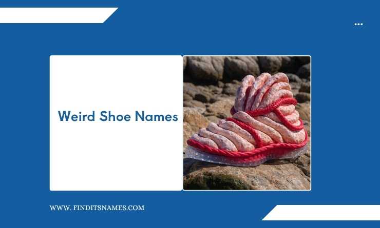 Weird Shoe Names