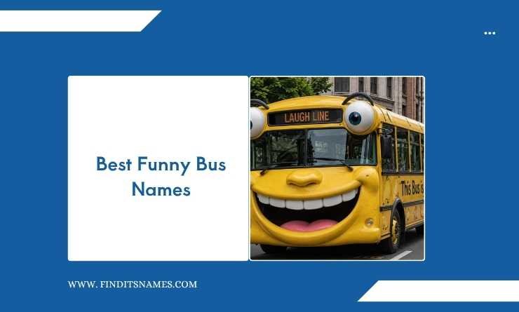 Best Funny Bus Names