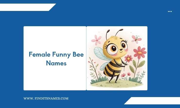 Female Funny Bee Names