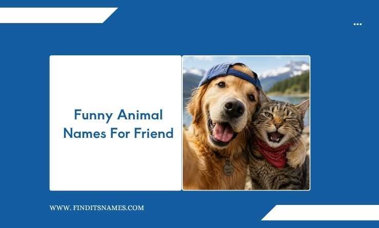 Funny Animal Names For Friend