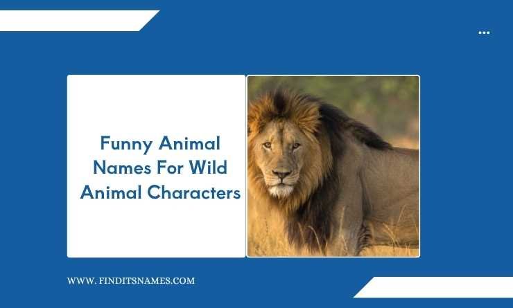 Funny Animal Names For Wild Animal Characters