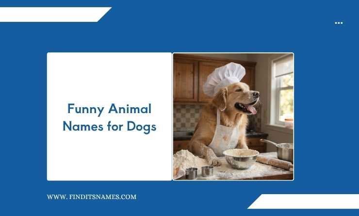 Funny Animal Names for Dogs