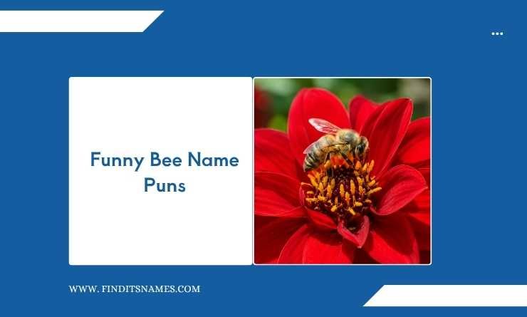 Funny Bee Name Puns