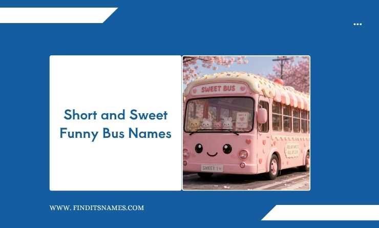 Short and Sweet Funny Bus Names