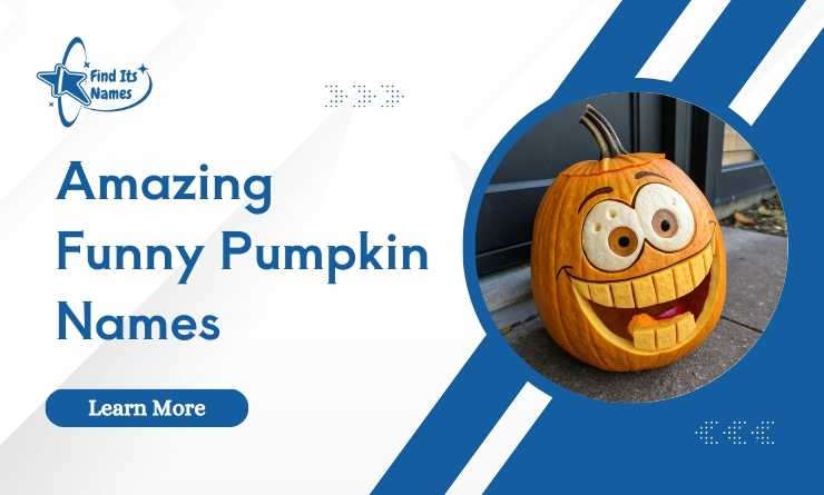 Amazing Funny Pumpkin Names