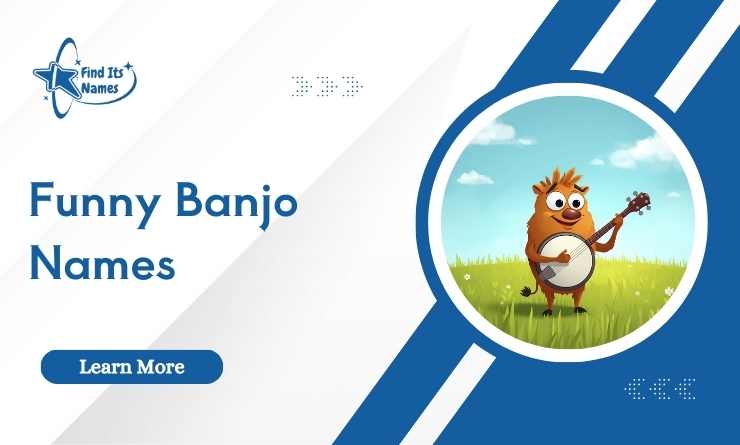 Funny Banjo Names