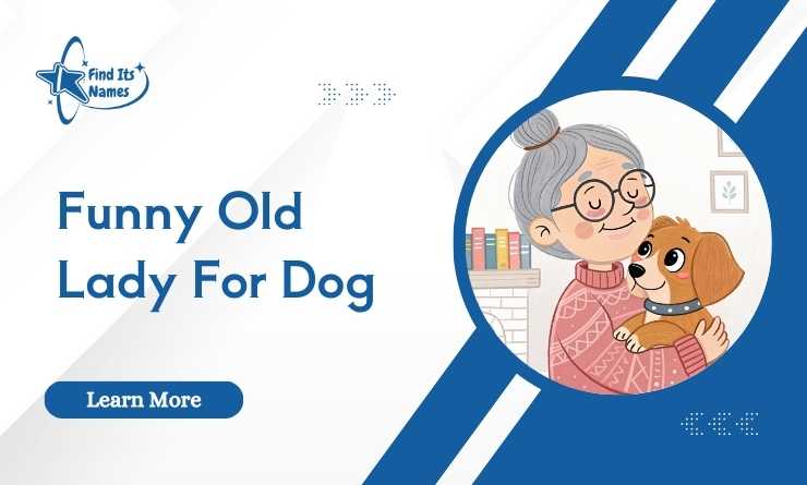 Funny Old Lady For Dog