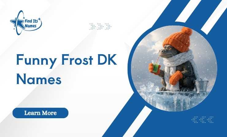 Funny Frost DK Names [That Will Make You IJBOL]