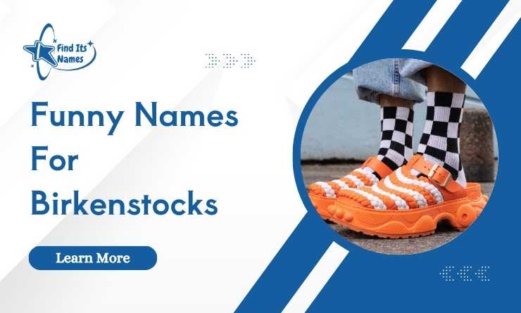 Funny Names For Birkenstocks [That’ll Make You Cry]