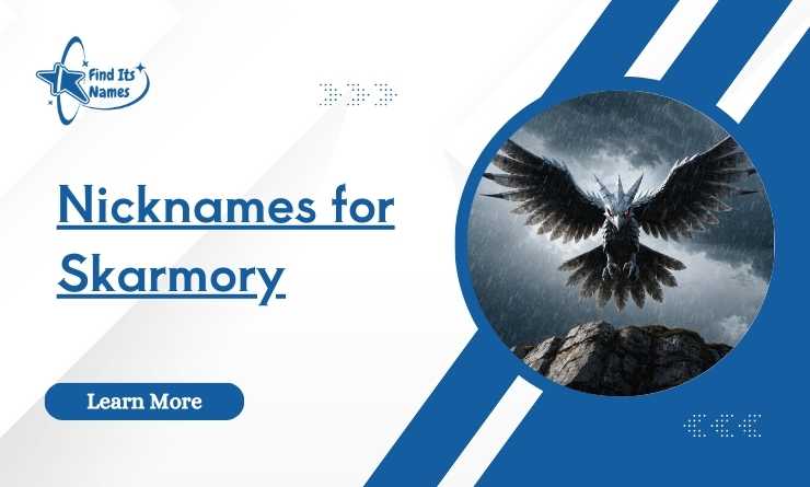 Nicknames for Skarmory