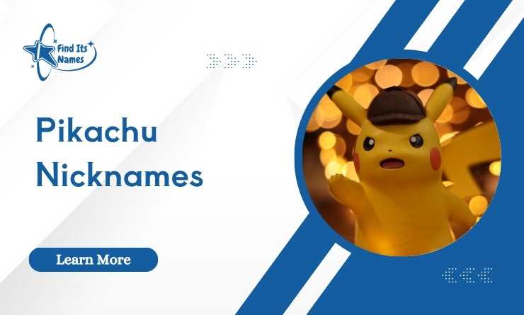 Pikachu Nicknames