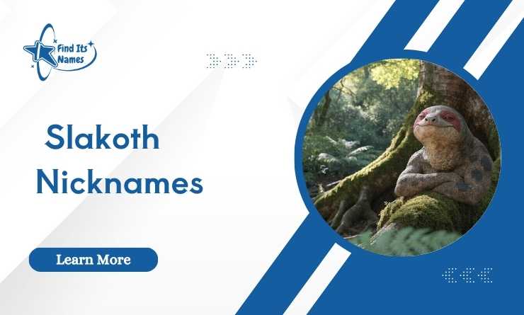 Slakoth Nicknames
