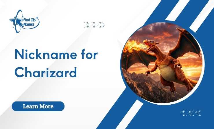 Best 500+ Nickname for Charizard [ultimate list]
