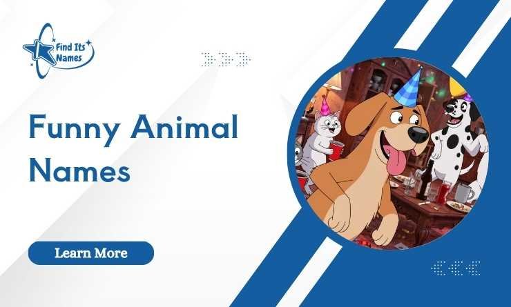 Funny Animal Names