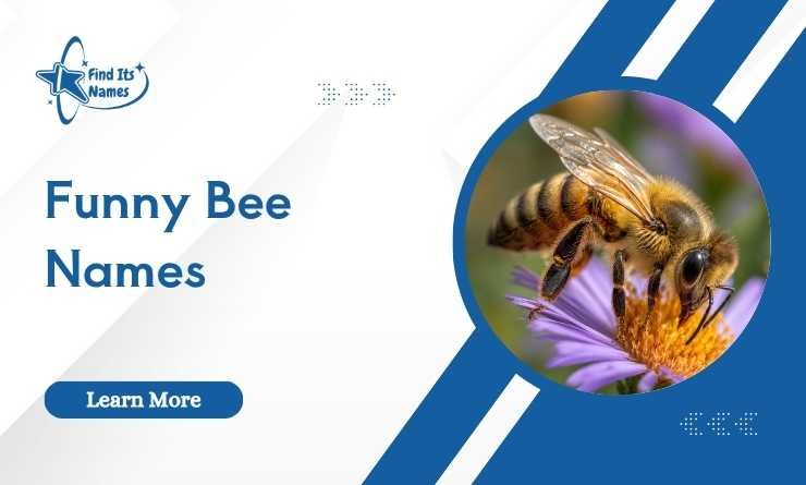 Funny Bee Names