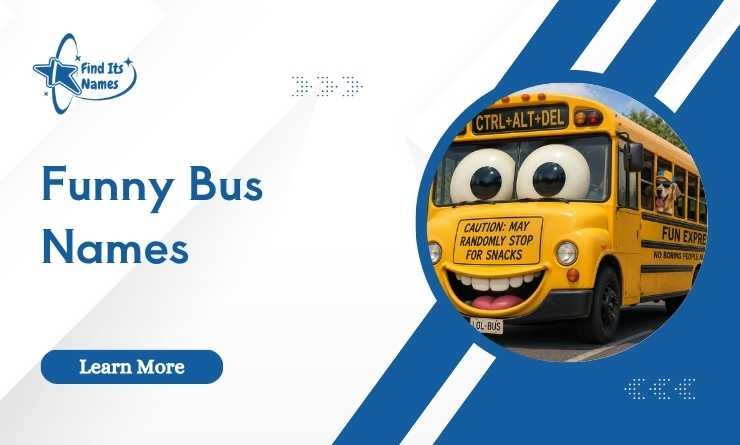 Funny Bus Names